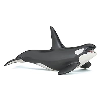 Amazon | Papo(パポ) シャチ PVC PA56000 | フィギュア・ドール 通販
